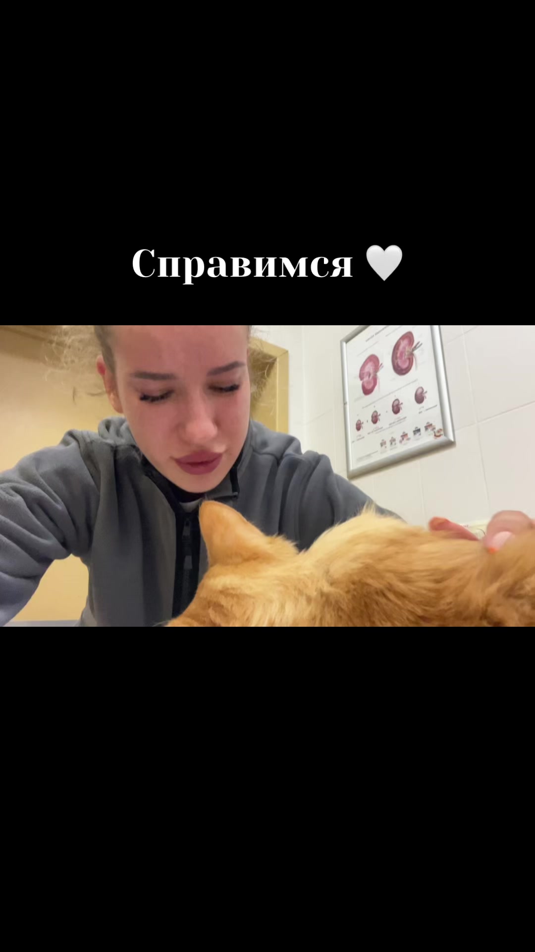 @Янчик