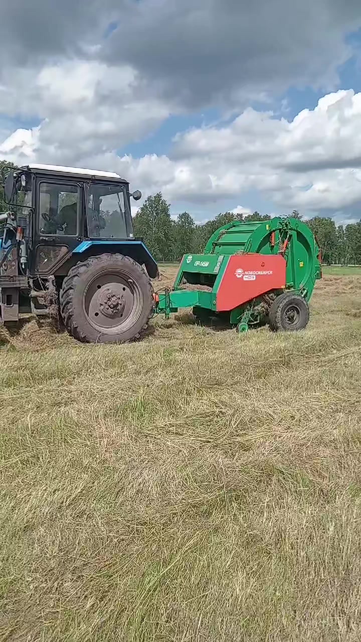 @55 Николайхрамов✌️✌️