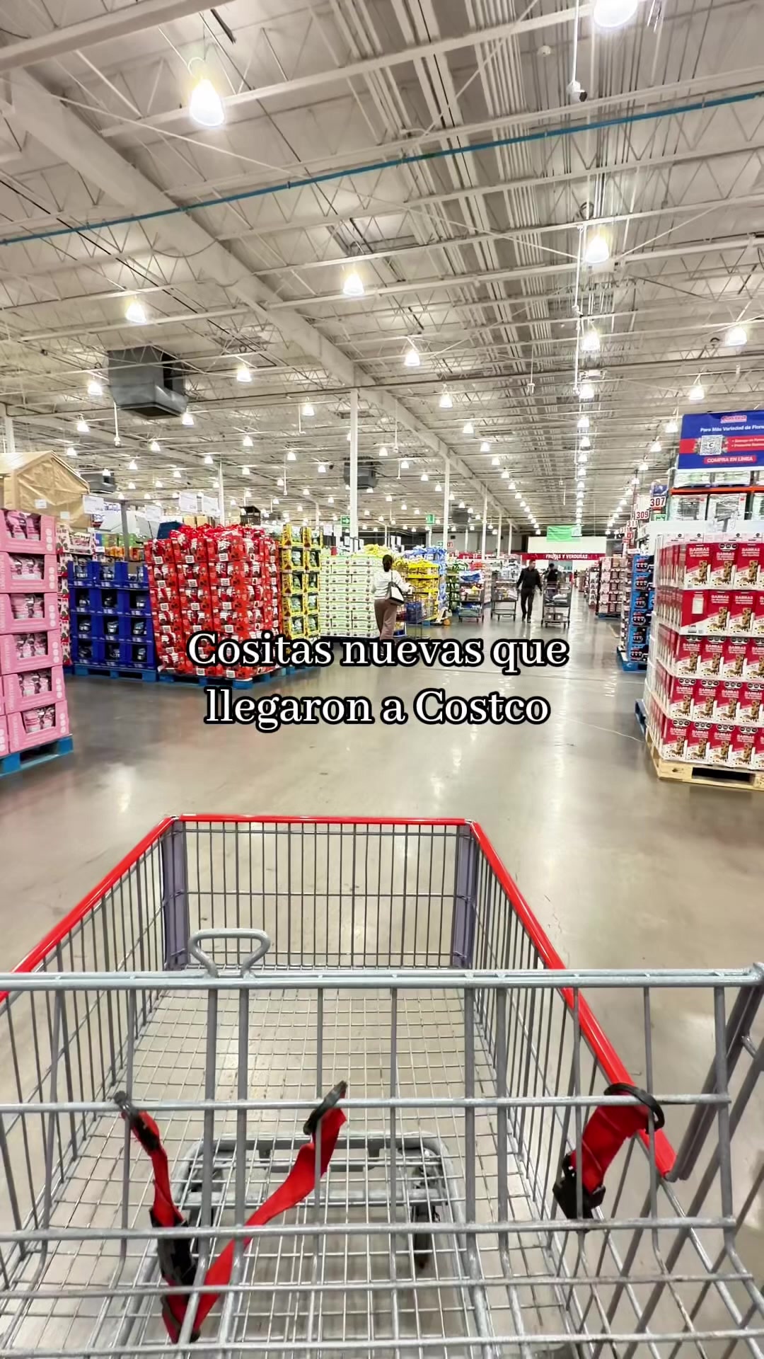 @LaSe&ntilde;oraDeCostco