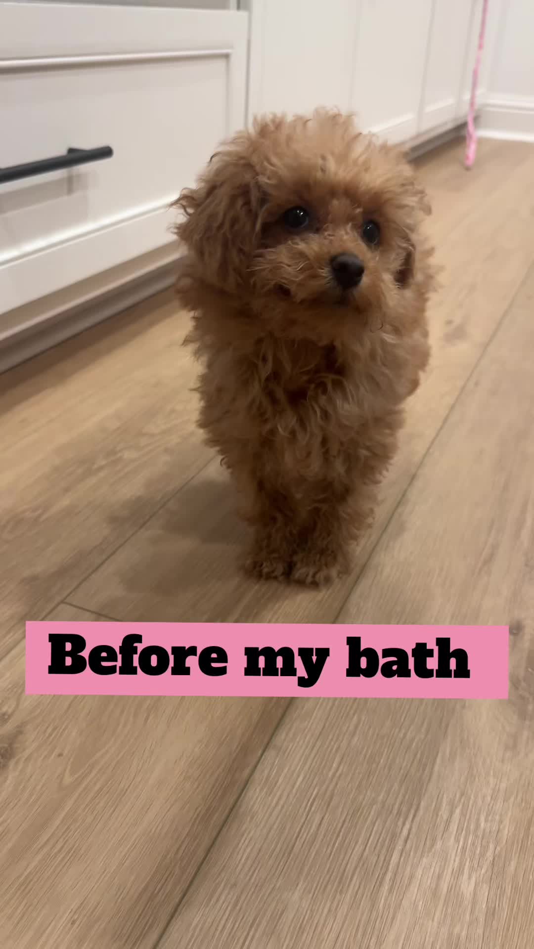 @Hazel Raine 🐾