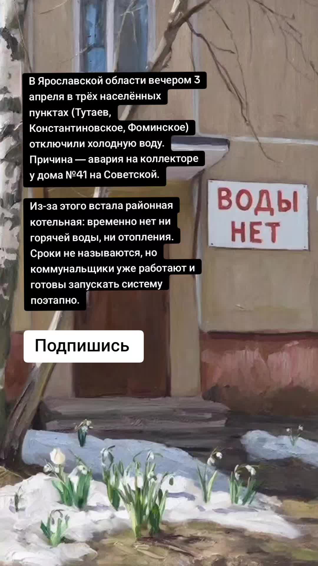 @Ярославские Новости