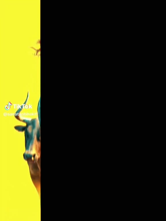 @❕모Ꭼɢᴏ⚠ ❕🚯-100