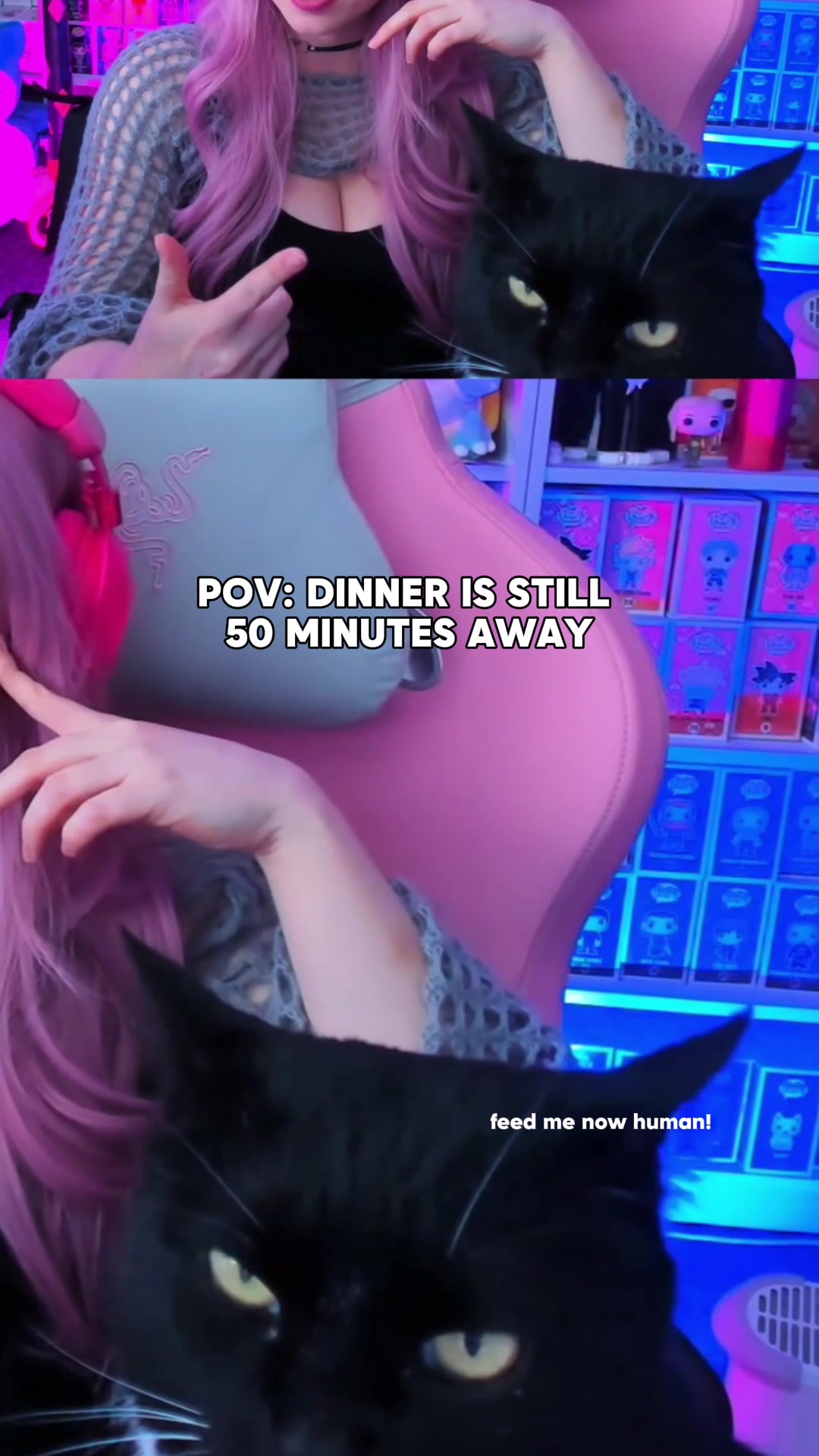 @Catssidy