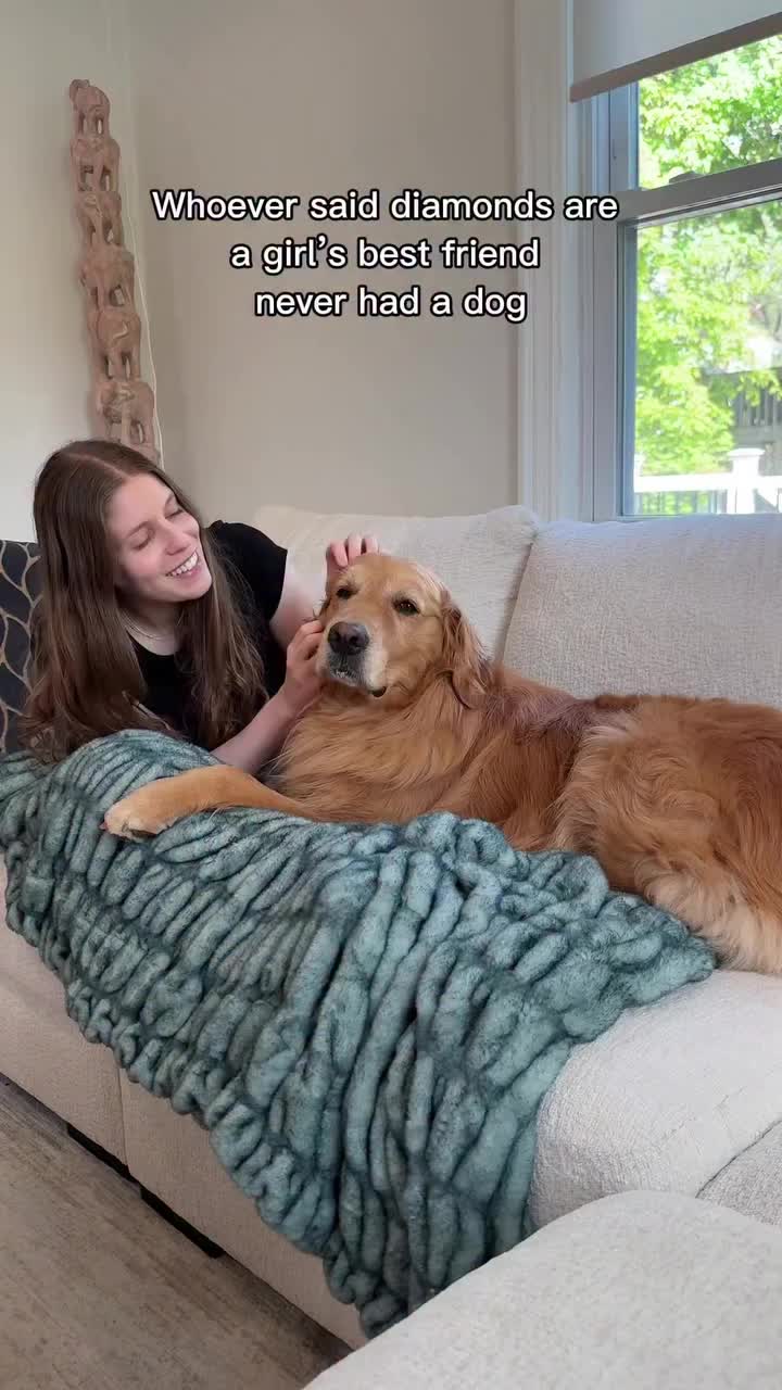 @Dev | mom + dog mom