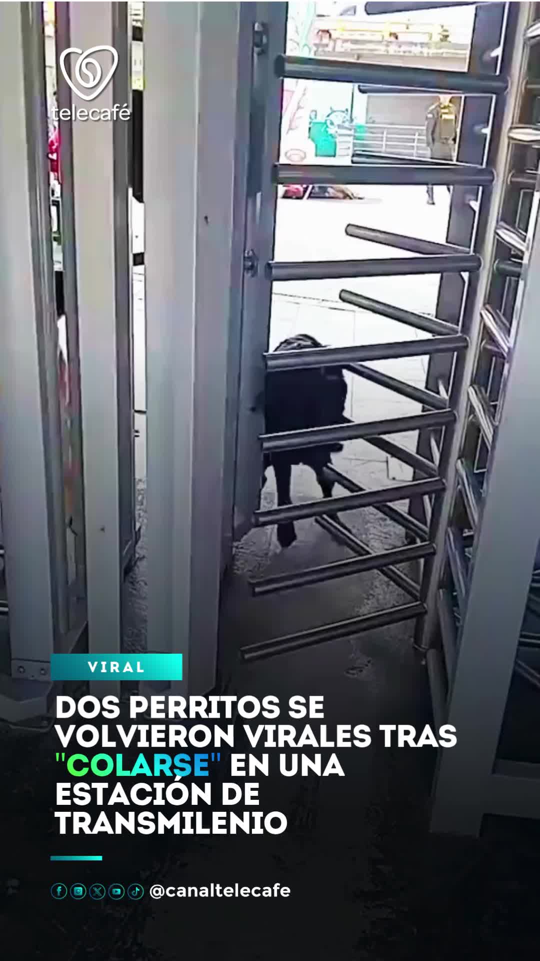 @Canal Telecafé
