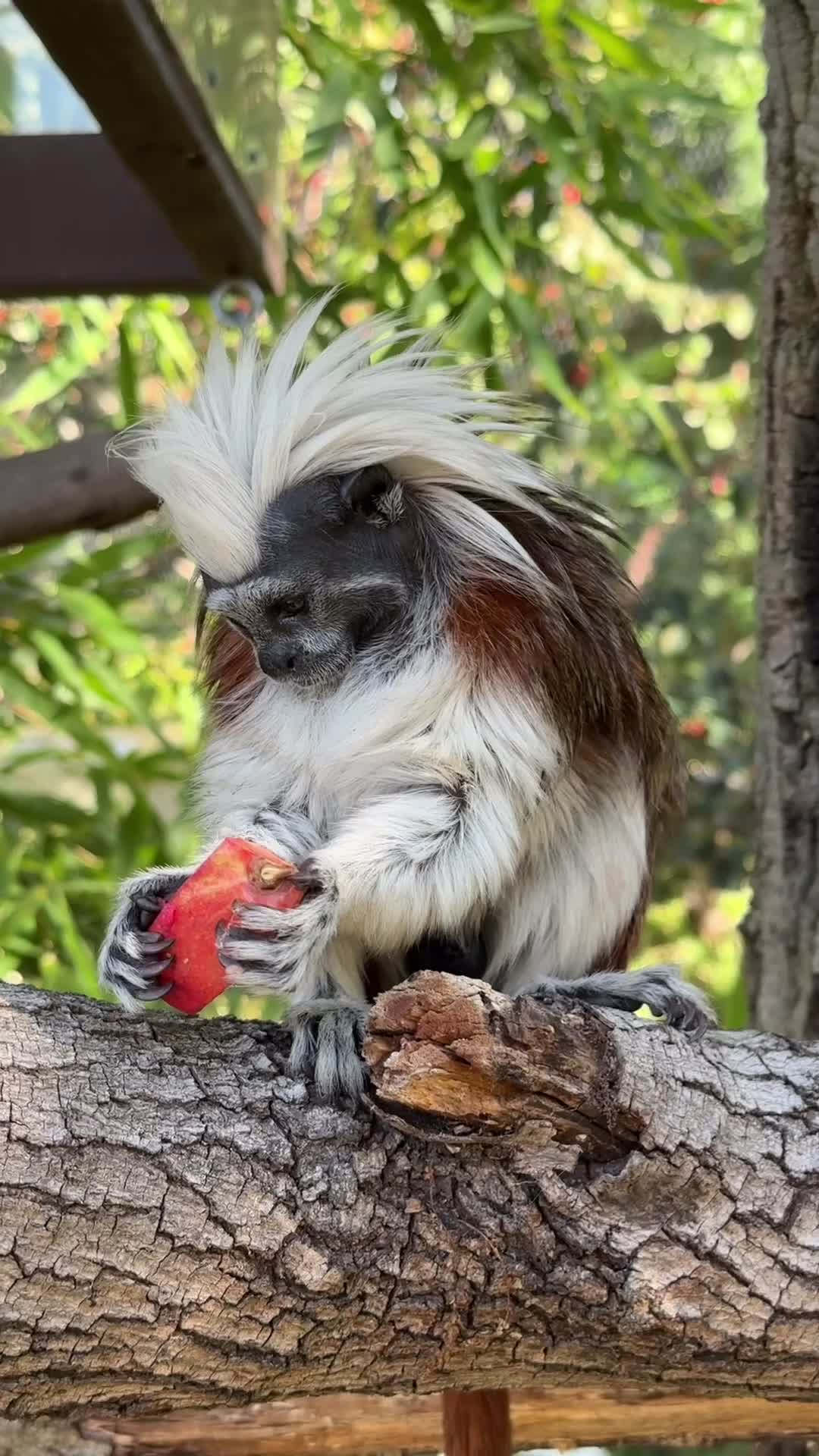 @Oakland Zoo