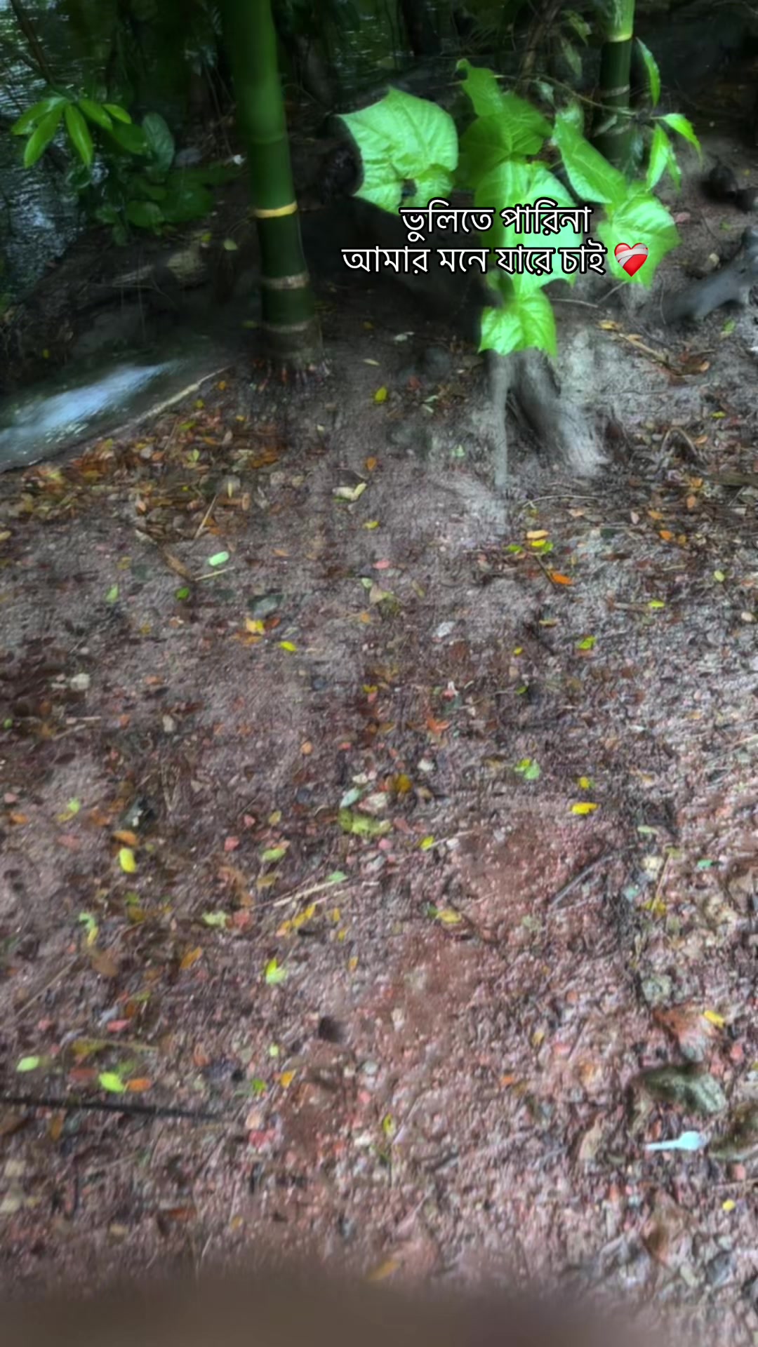 @🌸প্রেরণা🌸