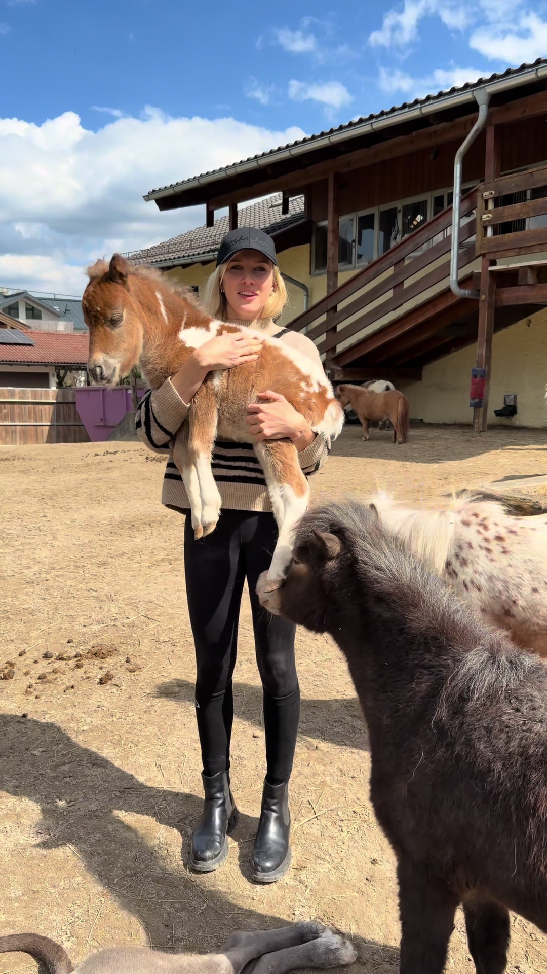 @julia_libertyhorses