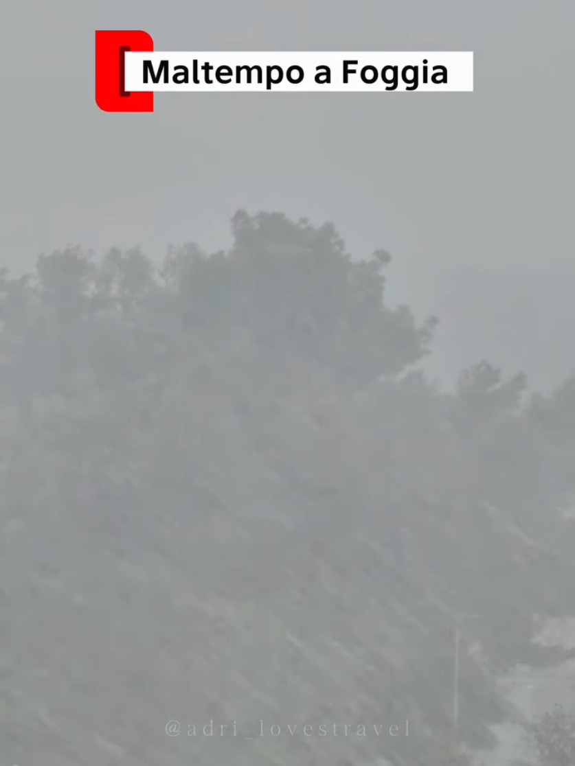 @Weather Insider