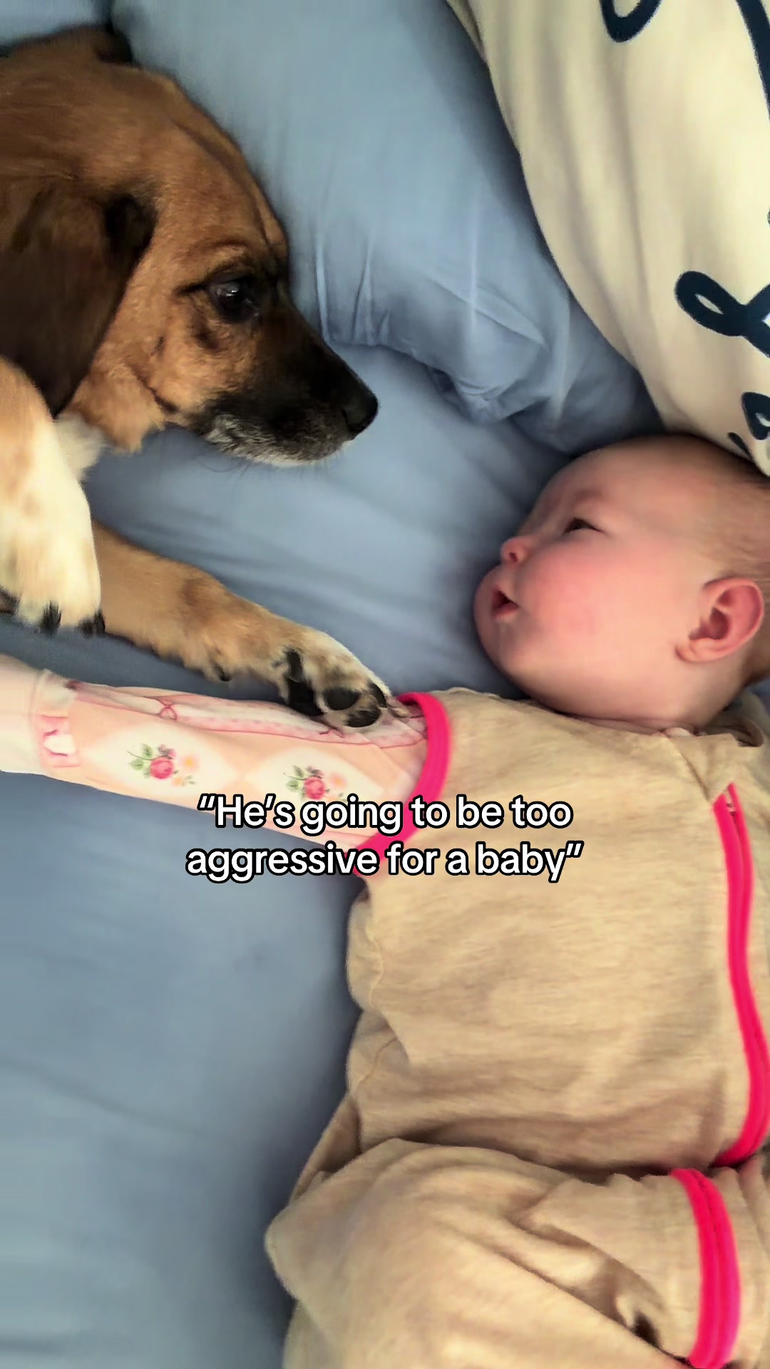 @Natalie Long