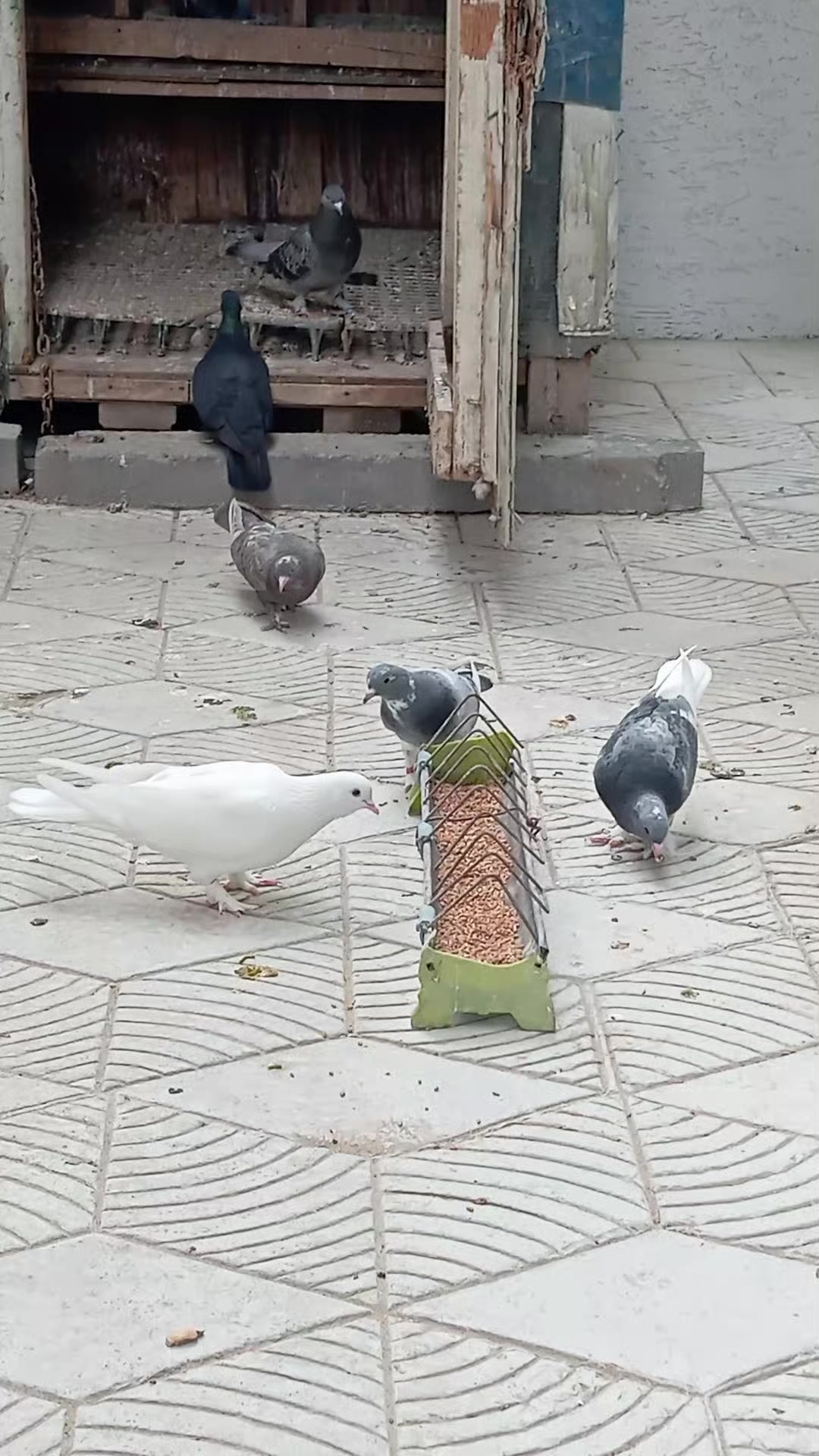 @Kenan Öztürk