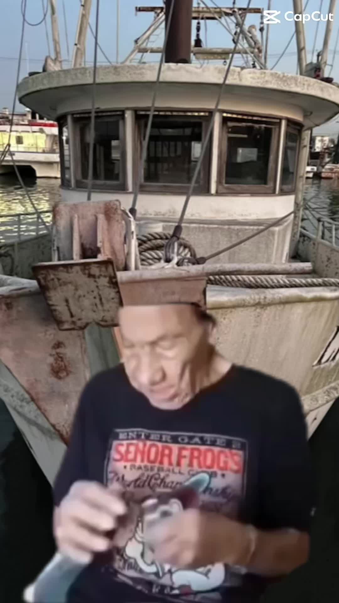 @viralmemeloop