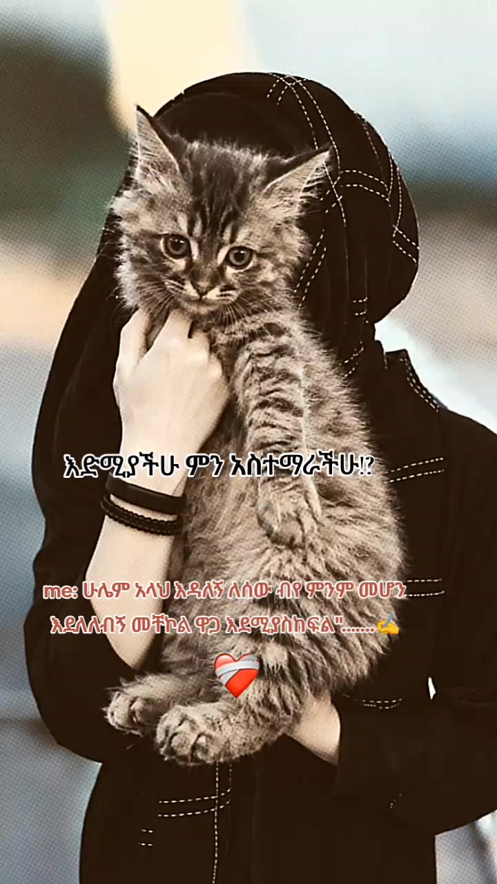 @โซทโฅ๐ฅ๐ข๐ฃ๐
๐
๐โฝแถแญแจแแโซทโฅ๐ง
