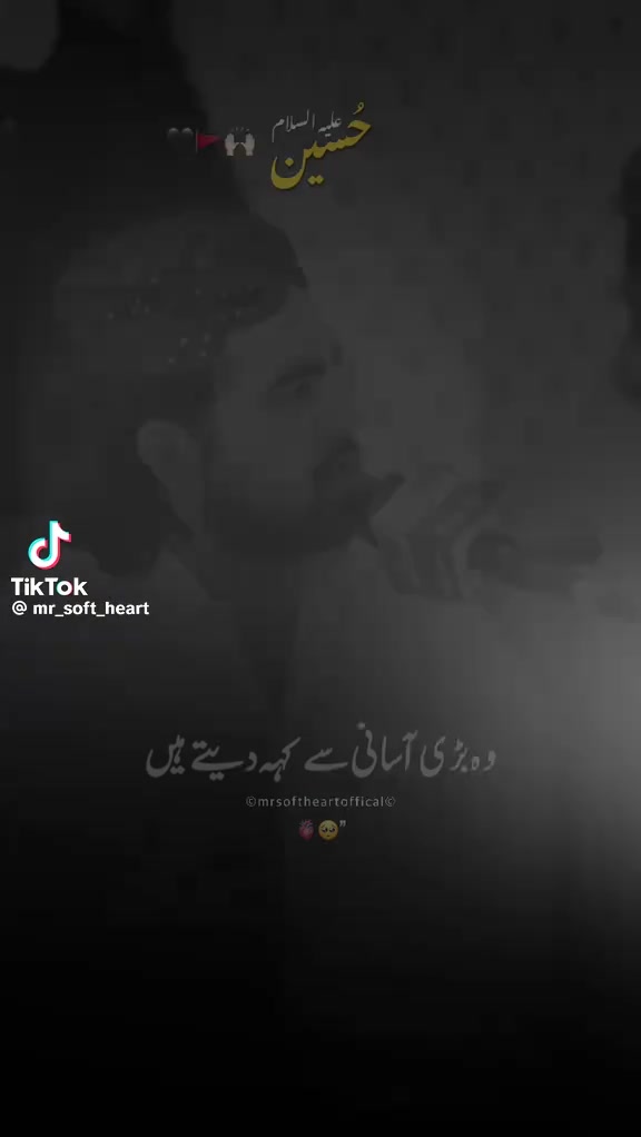 @Tanveer A Langah Baloch 🚩🇮🇷