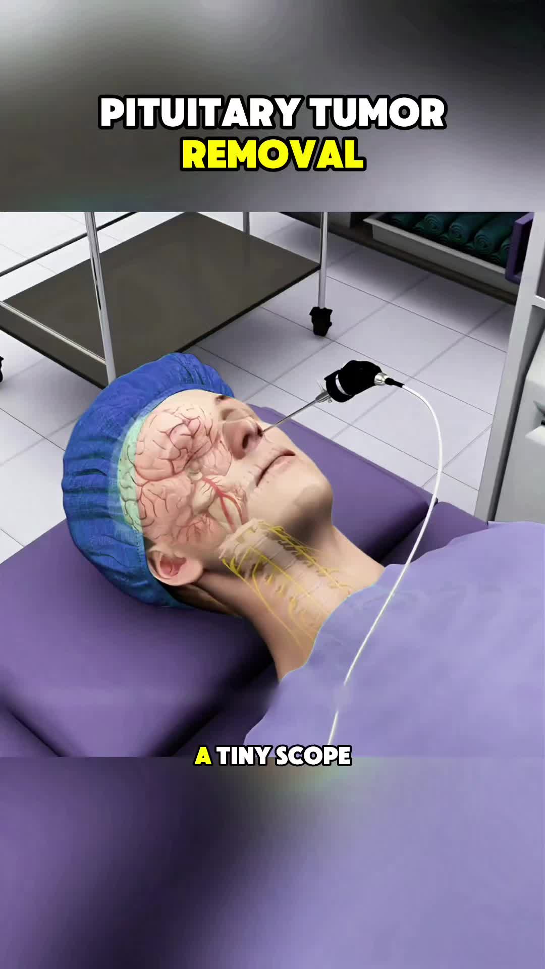 @HumanScope