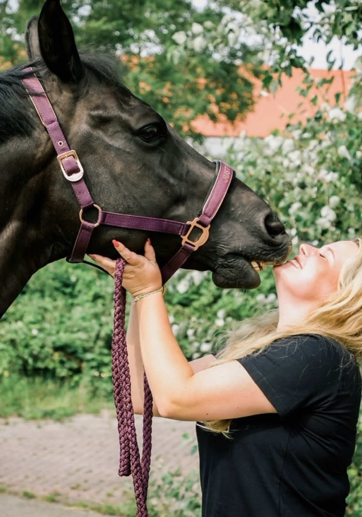 @fmnschothorses