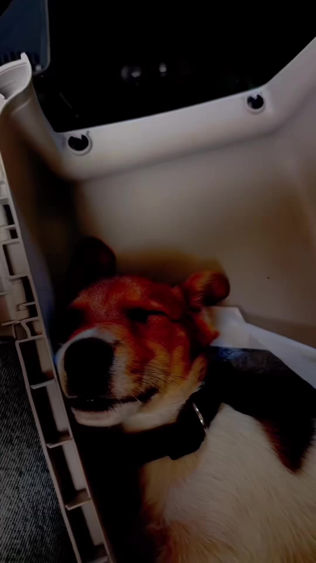 @𝐆𝐈𝐎𝐑𝐆𝐈𝐀