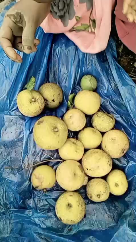 @बिन्दास