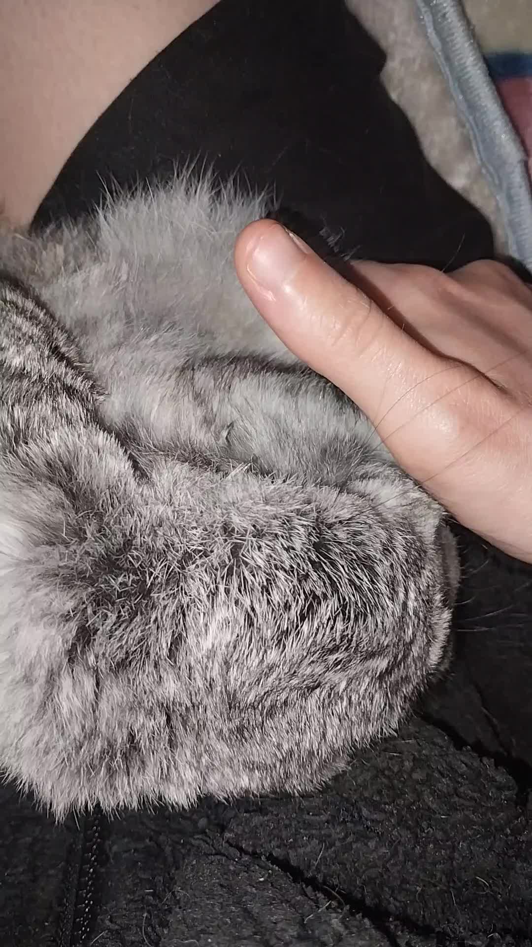 @Ashley🖤🖤🖤