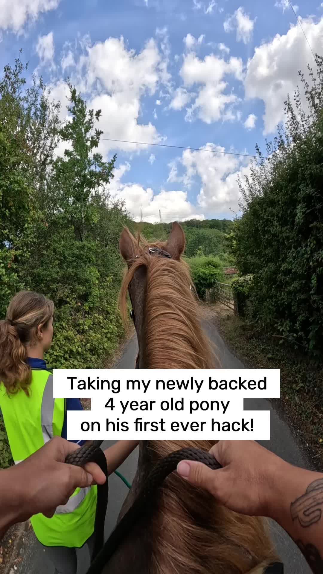 @The Novice Rider