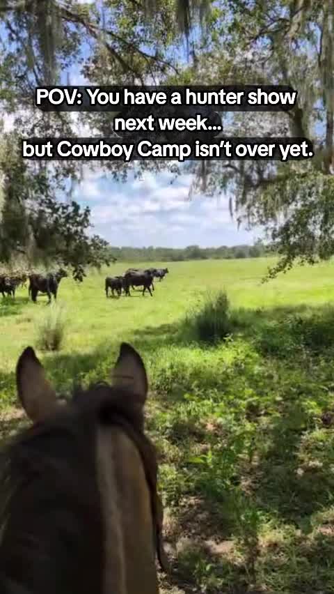 @Duyn Equine Horse Training