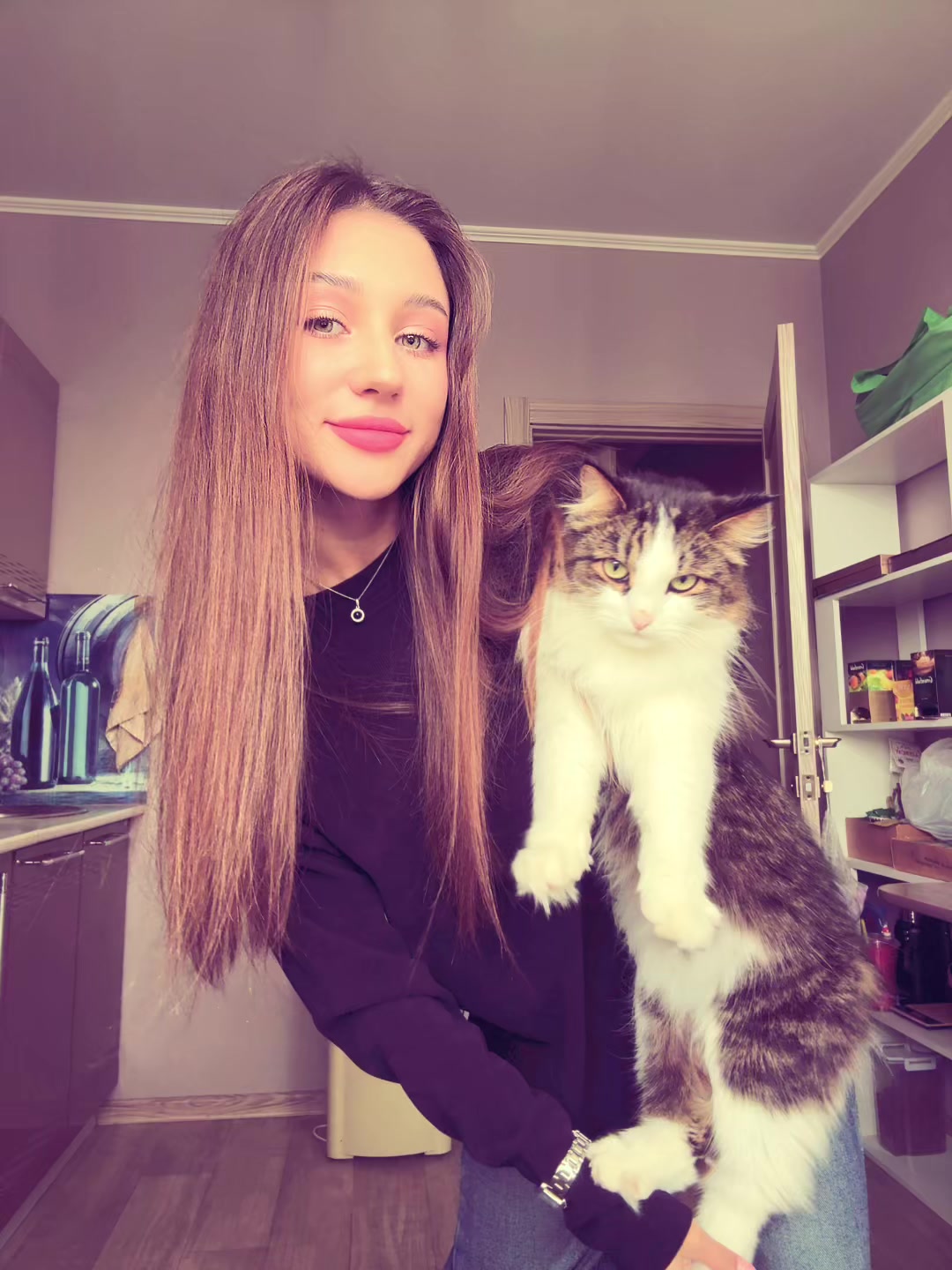 @тгк : Dishka🐾
