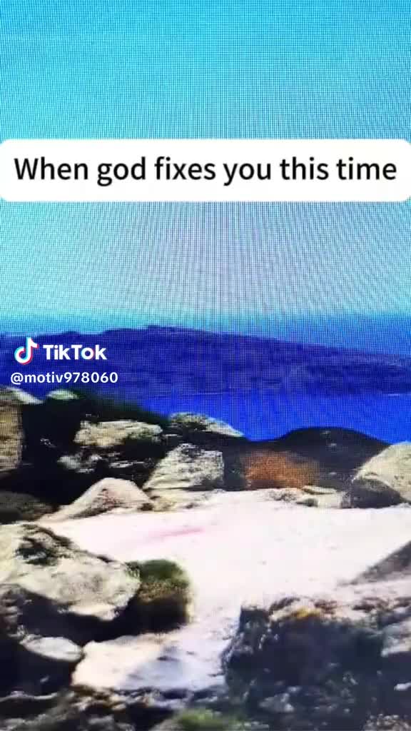 @Vela361