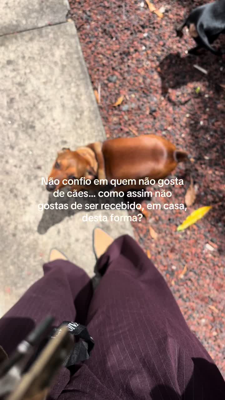 @byisabelamaral