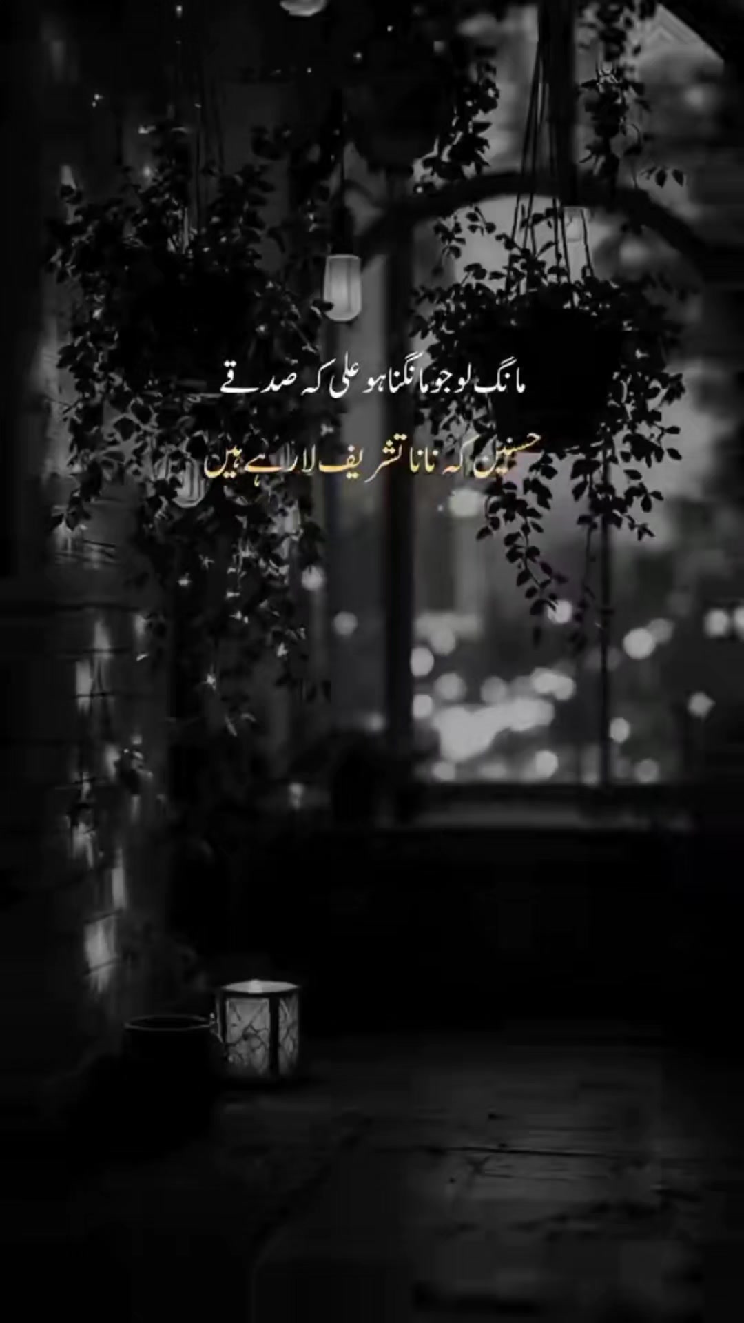 @Syed zarashah039