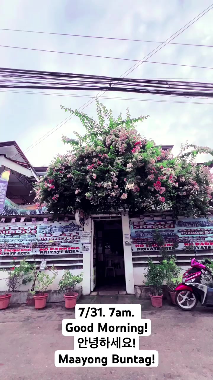 @liondiveresort