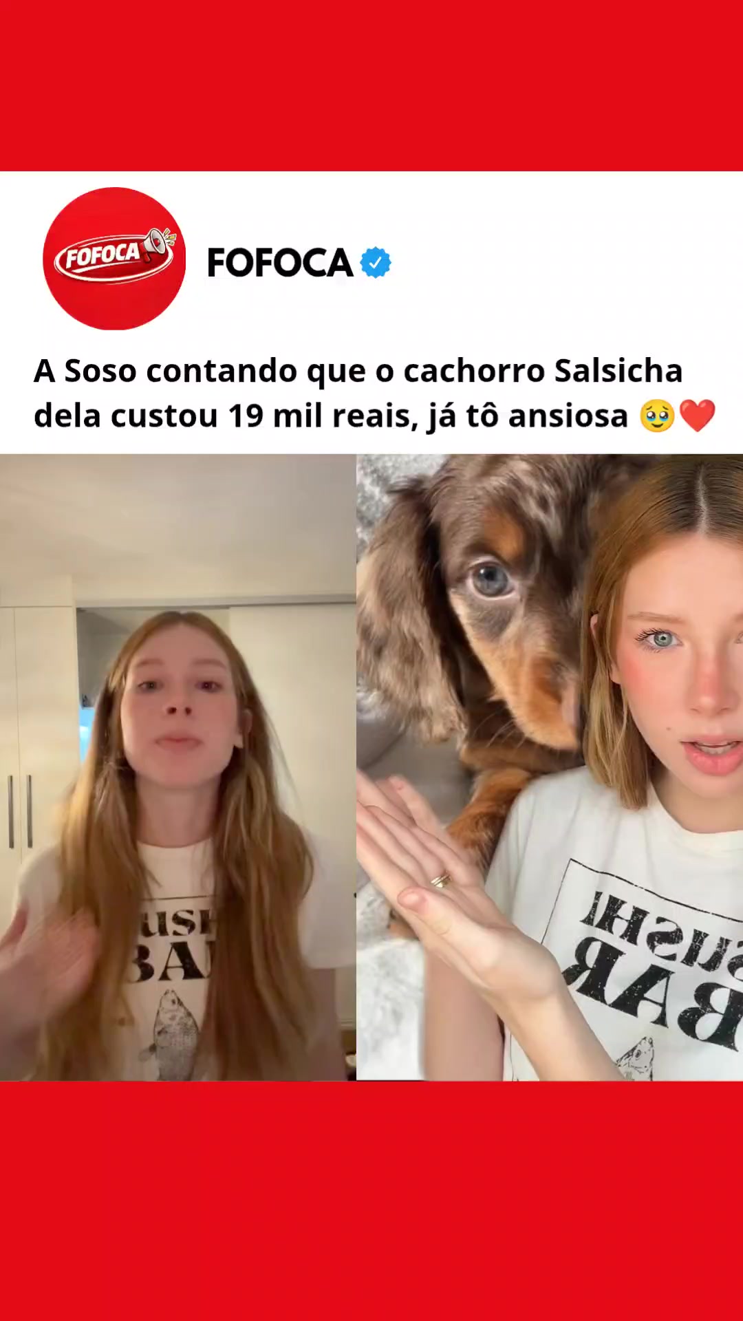 @FOFOCA 🥏
