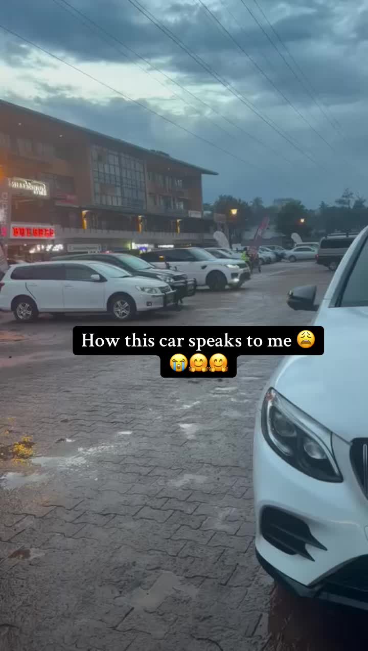 @— ๐ค.
