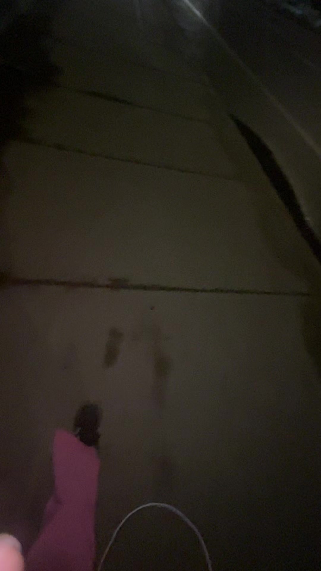 @#taryncore
