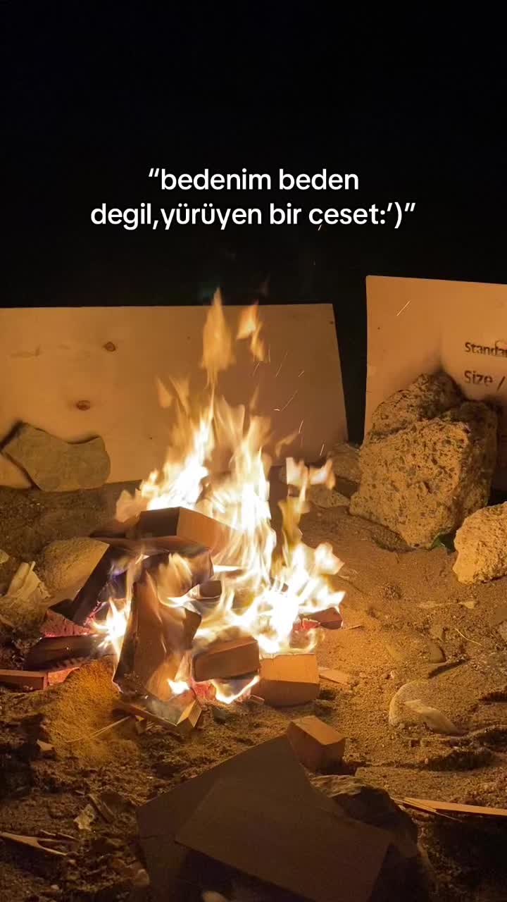 @‘🐆