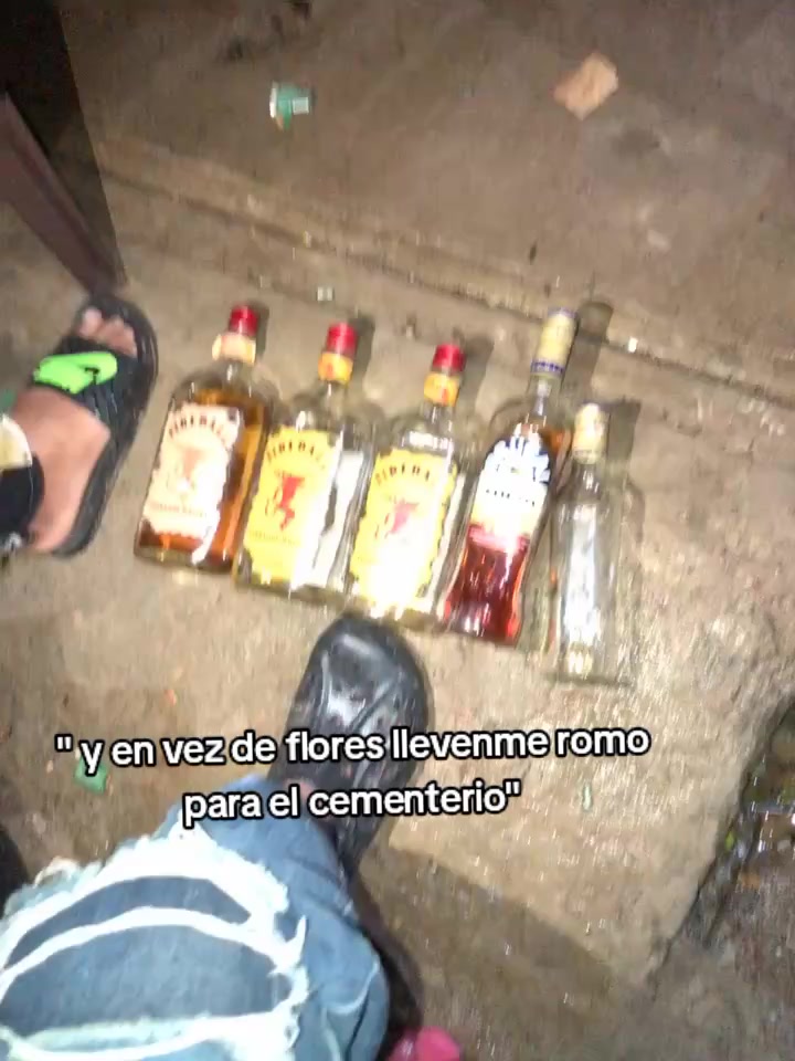 @🤍la novia de luishander 🤍
