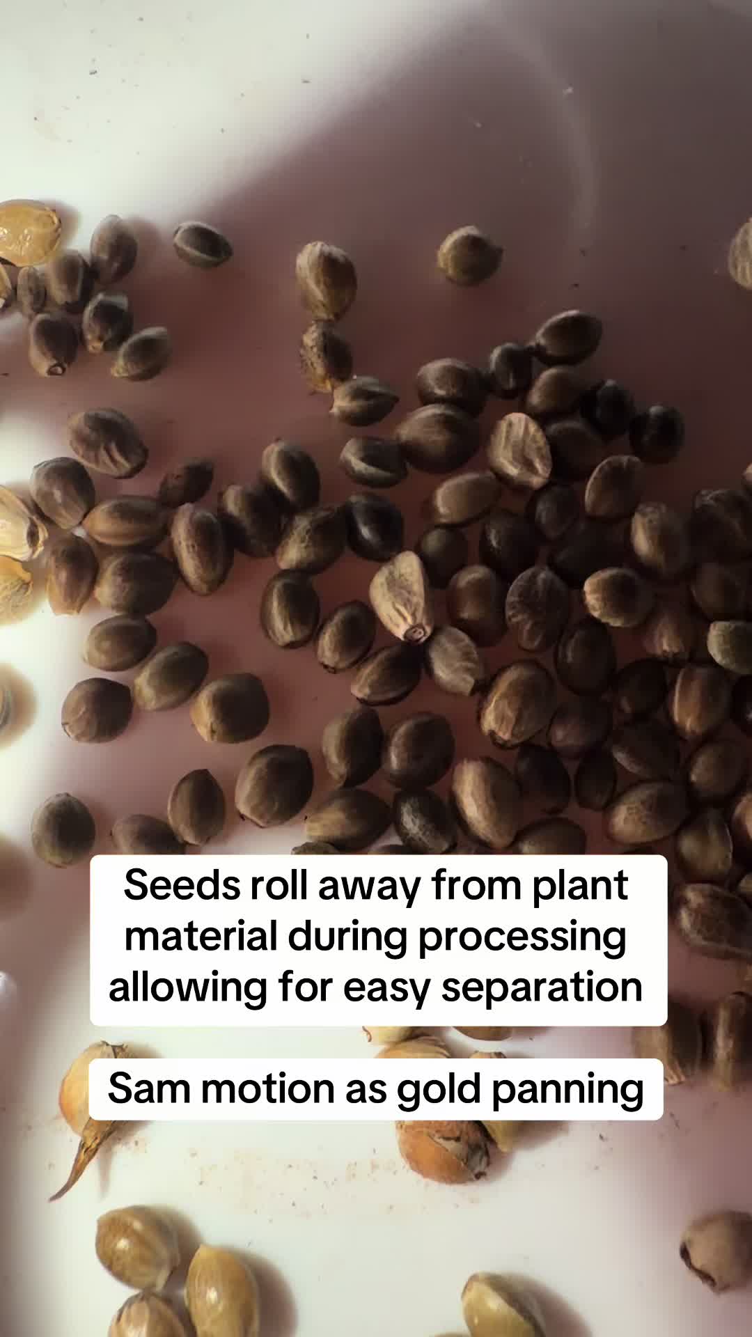 @SEEDTIVA