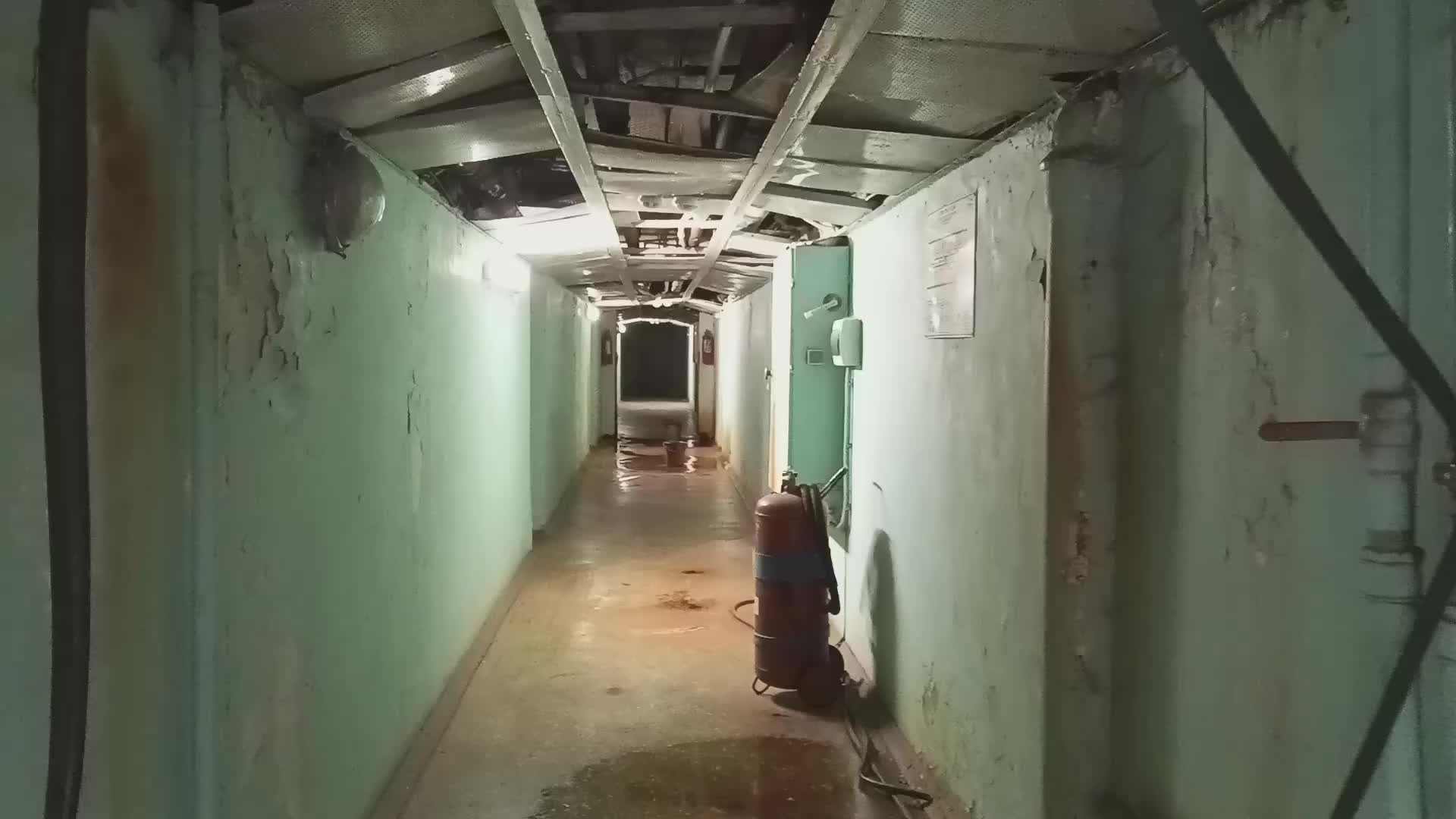 @пла́дєннїстїй