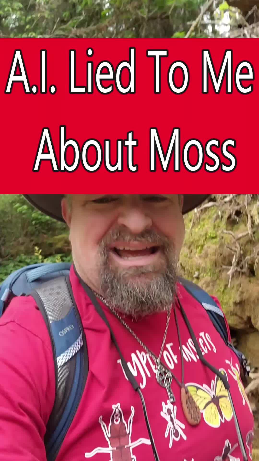 @Redwoods Rising