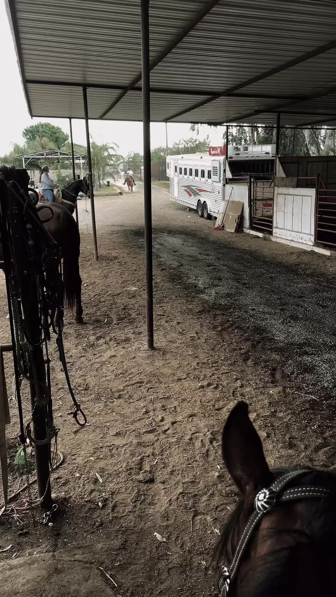 @Aureliano_ibarra21