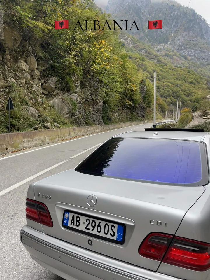 @Auto Nerguti