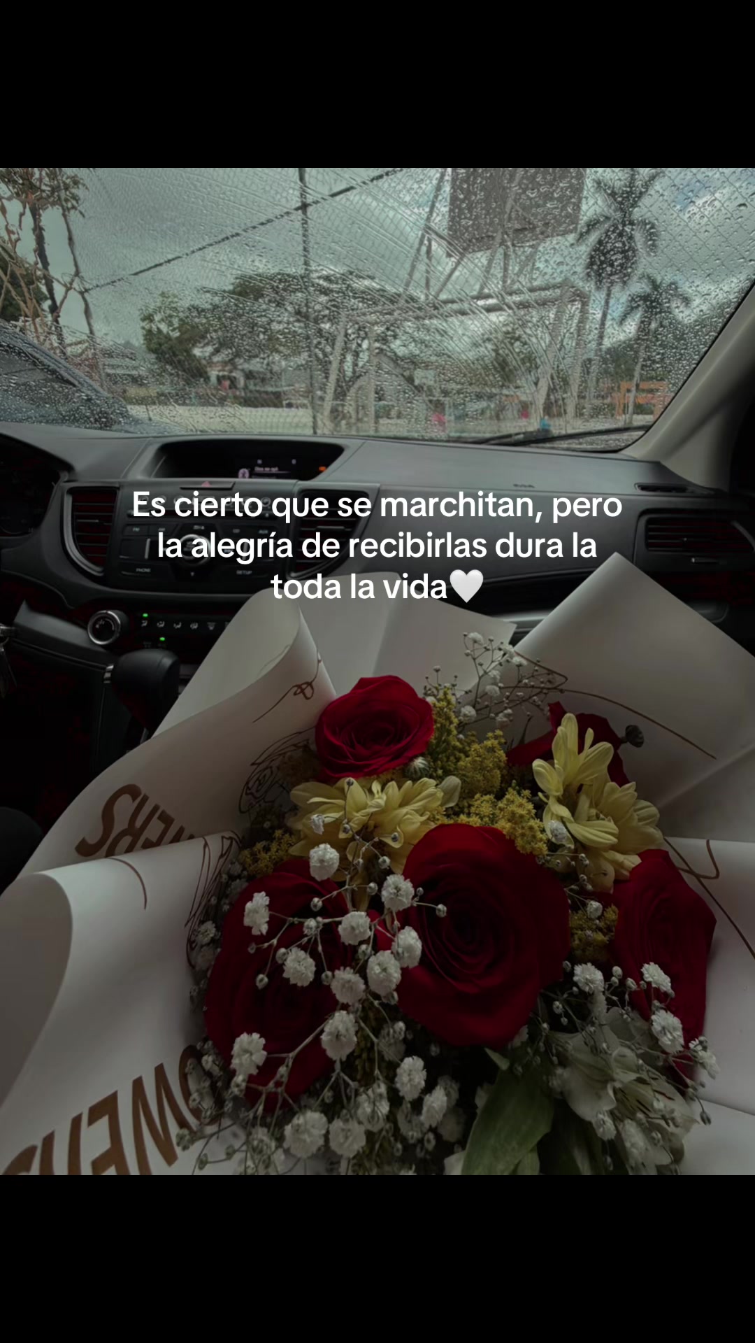 @Alexa Sosa