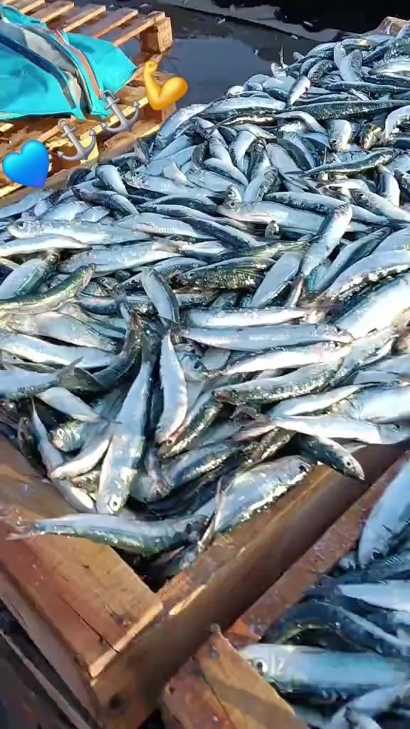 @Fouad pêcheur