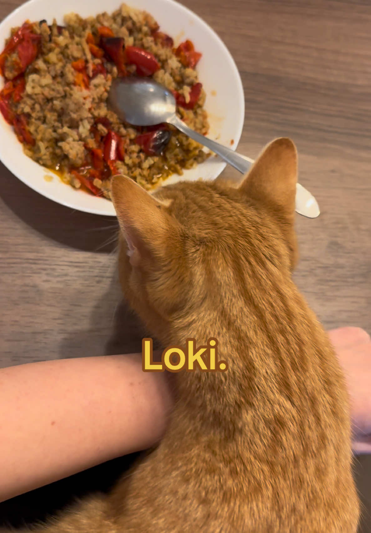 @Cezar, Loki i kompanija😹