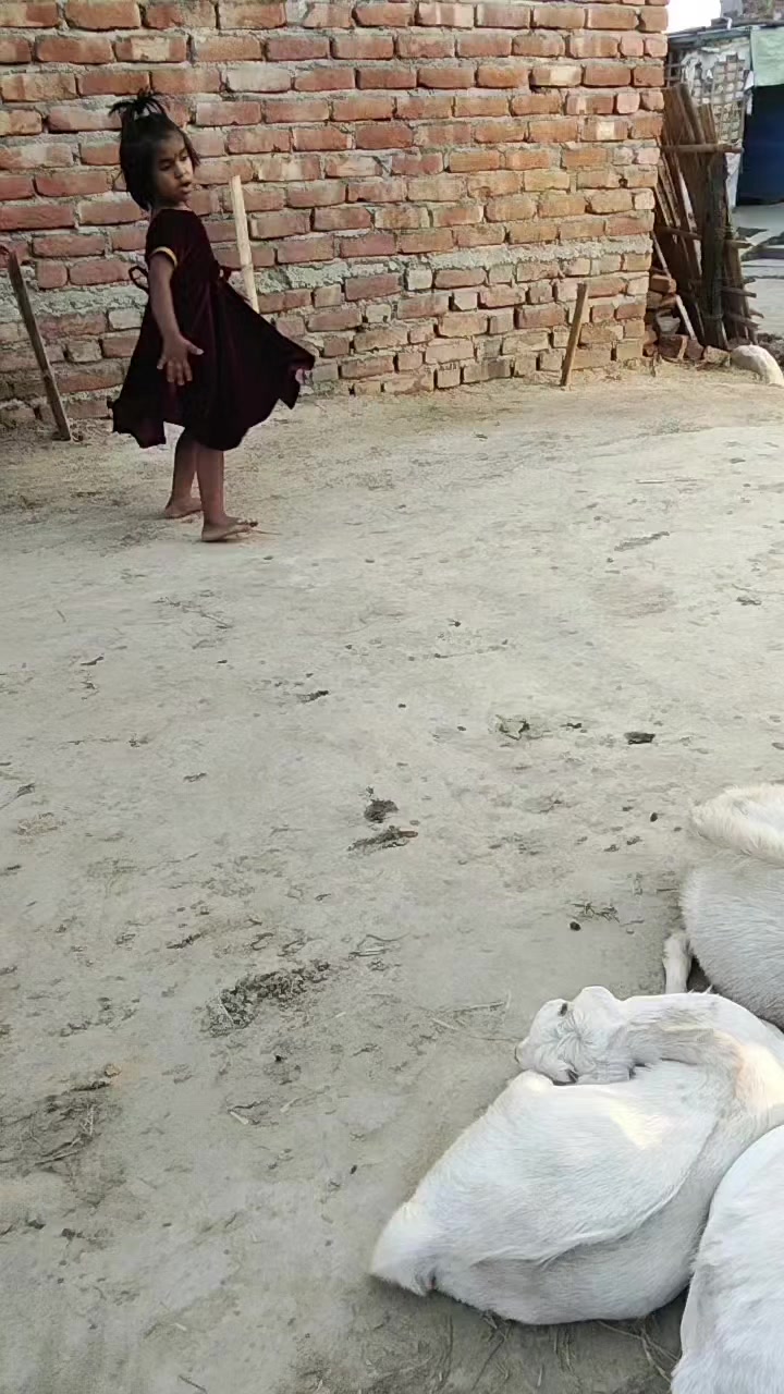 @Dipendra Yadav