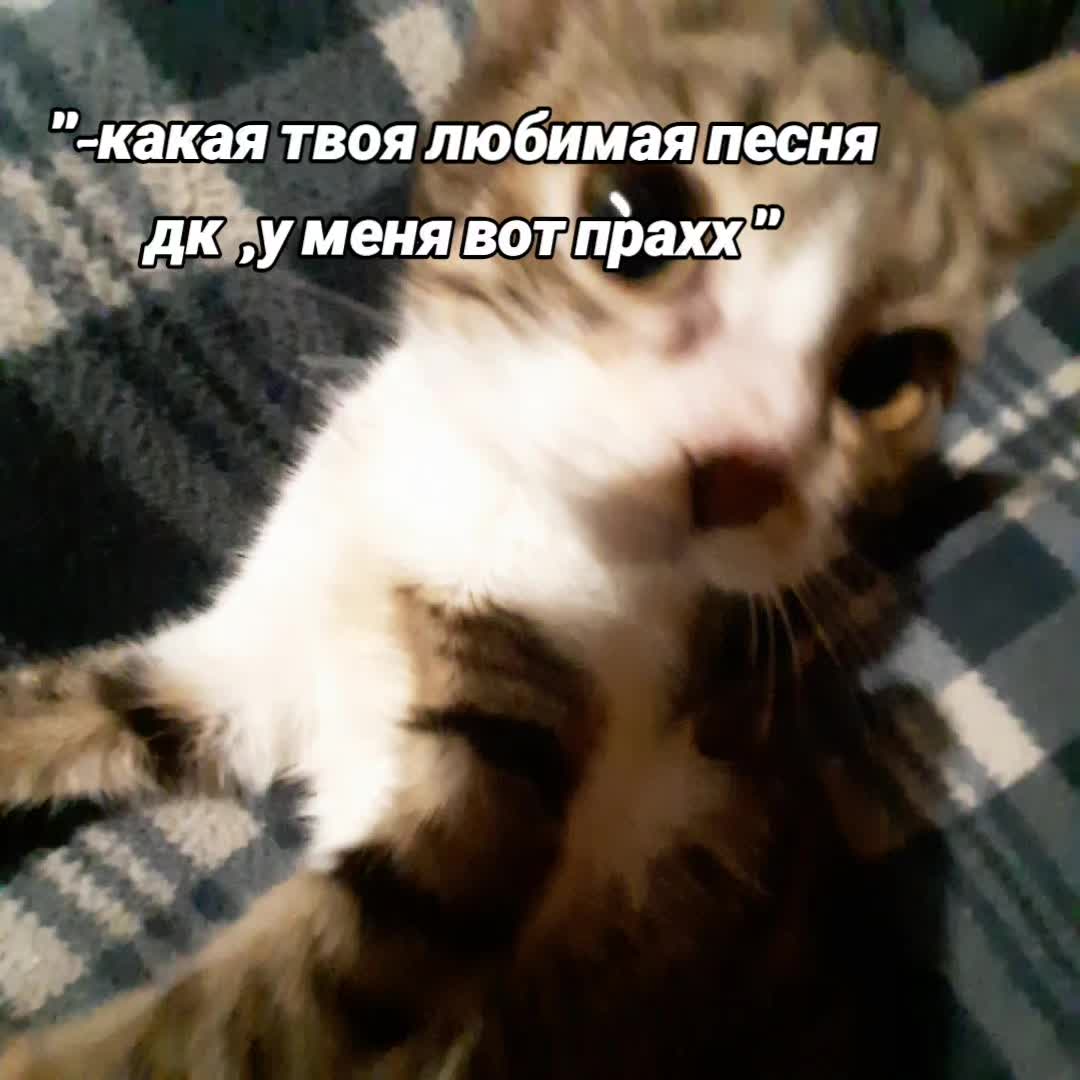 @в слэм