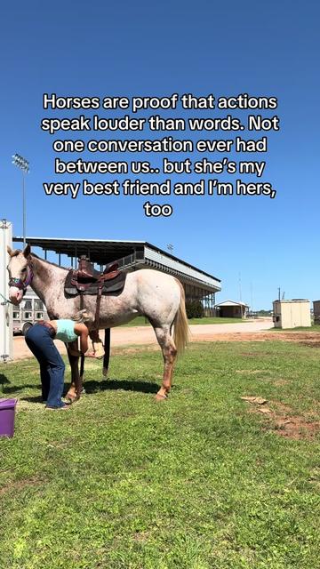 @OutlawLacy