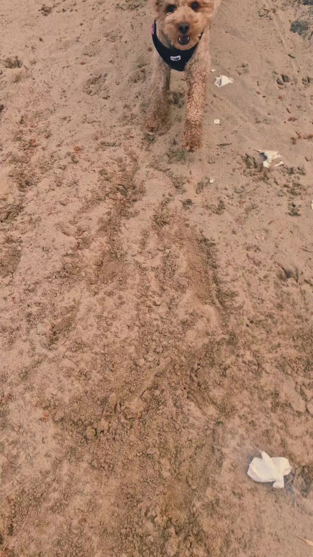 @Teddi