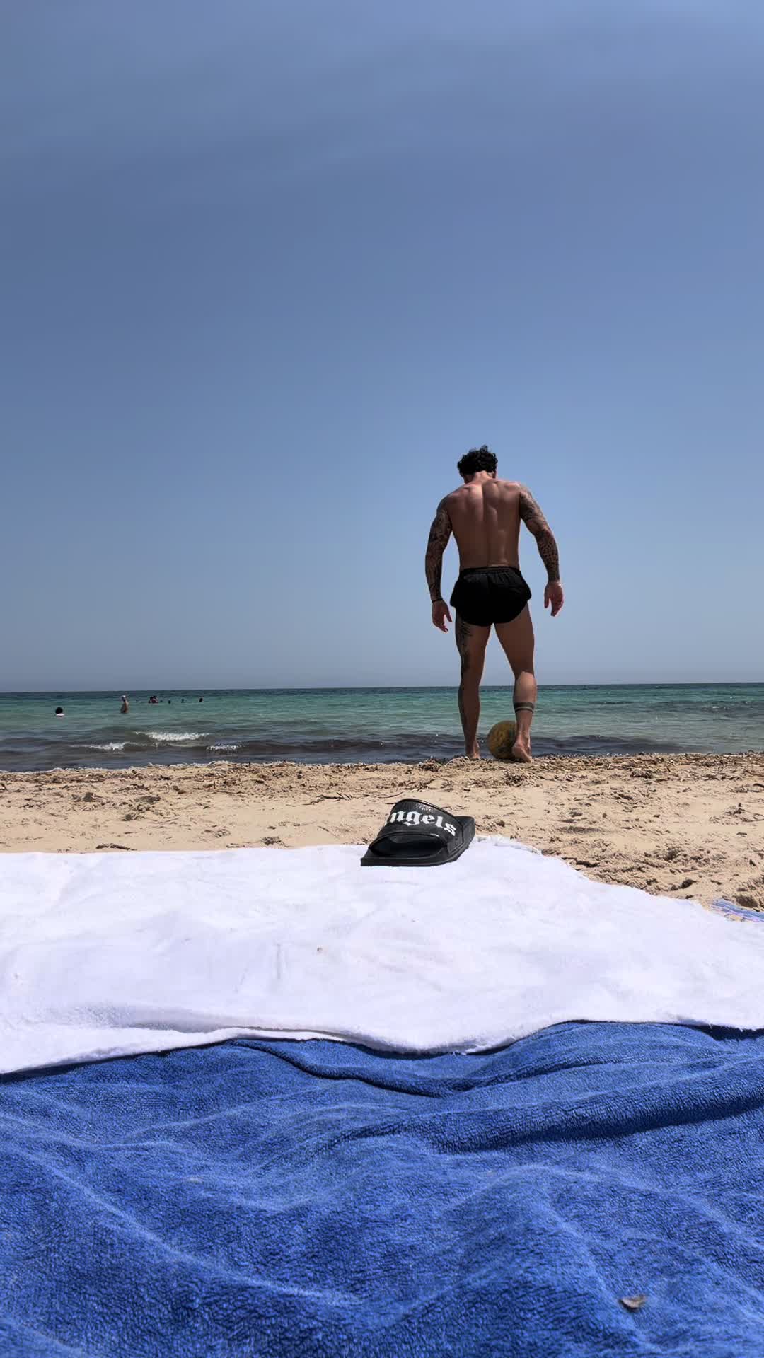 @marco__sava