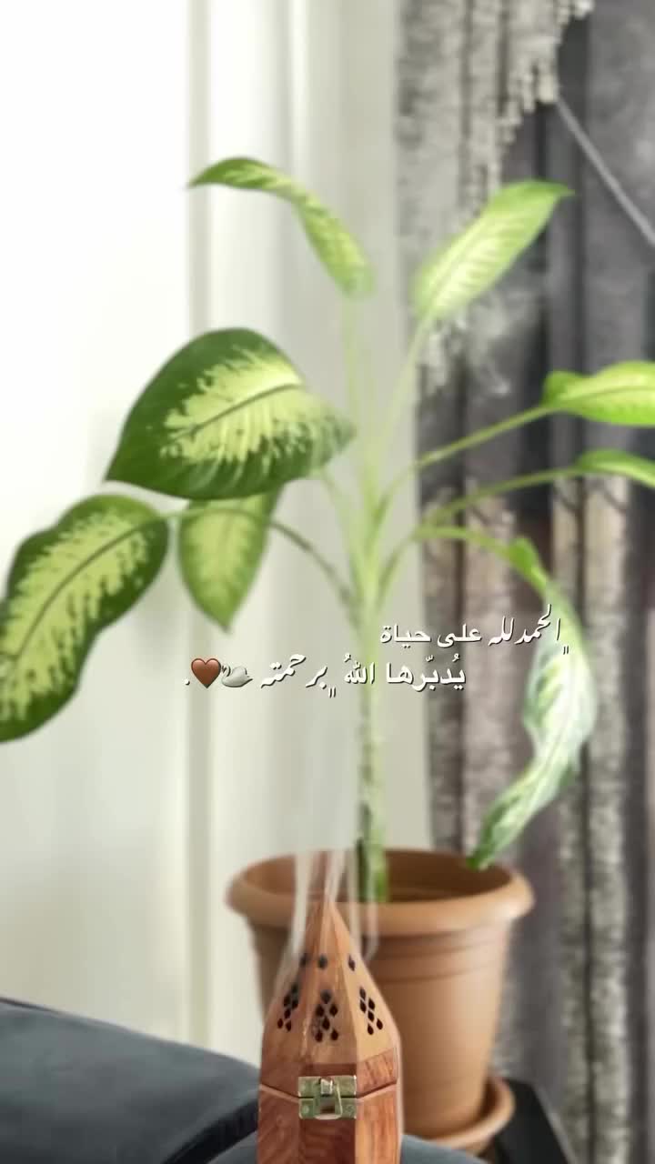 @𝐹𝒂𝒕𝒆𝒎𝒂🌸🤍؍ٌ𓍼﮼