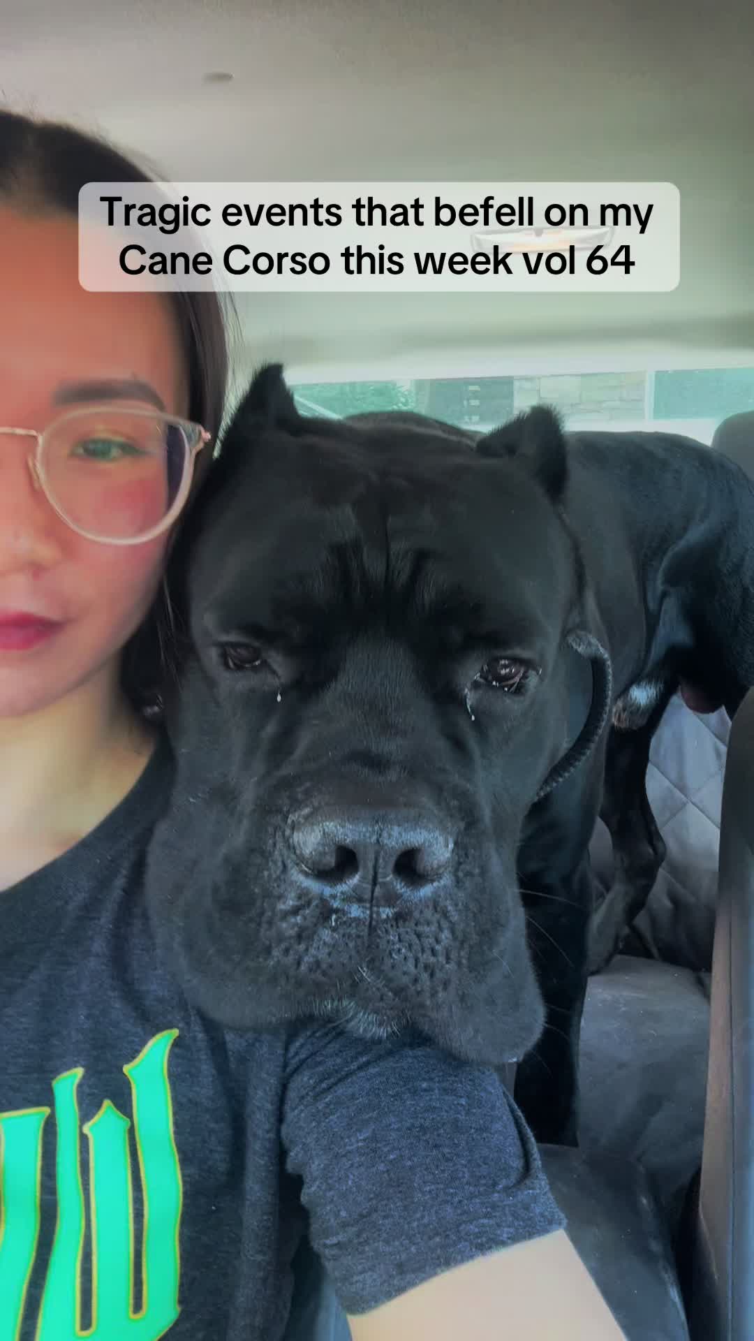@Bentley Has Issues
